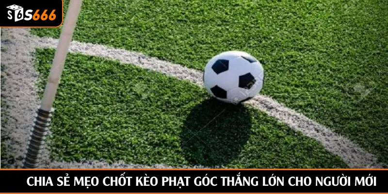 Chia sẻ mẹo chốt kèo phạt góc thắng lớn cho người mới